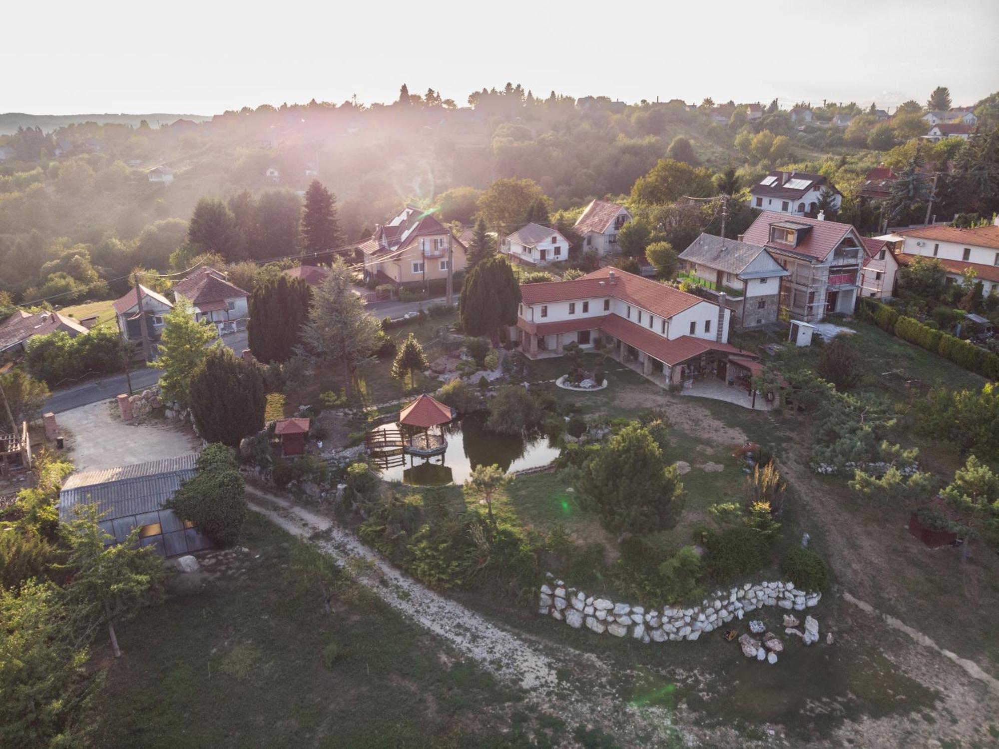 Garden Zalaegerszeg